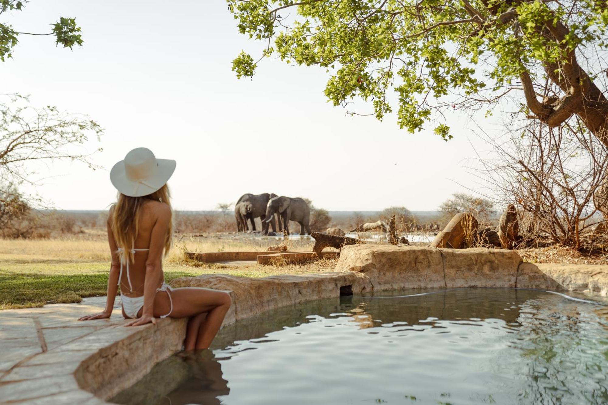 Last Word Madikwe Madikwe Game Reserve Exterior photo